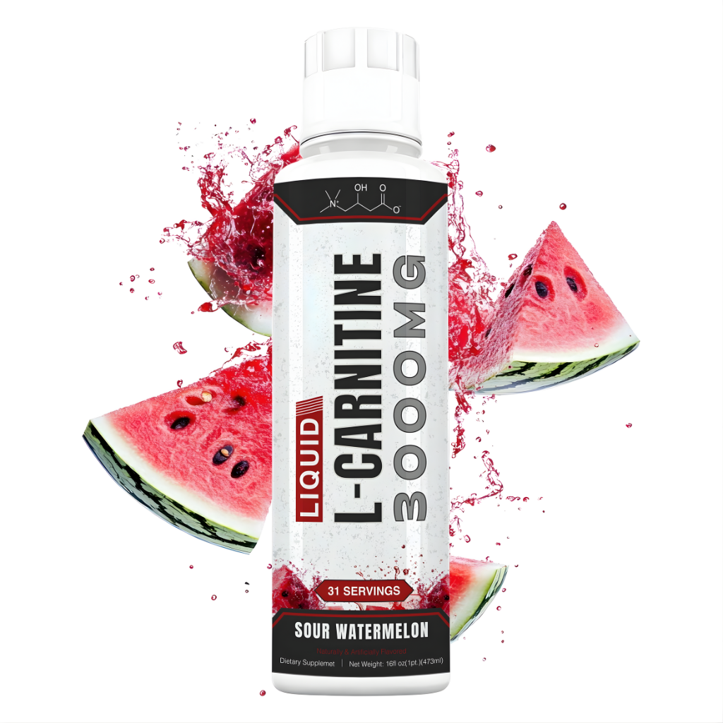 L-Carnitin Flüssig 3000 MG